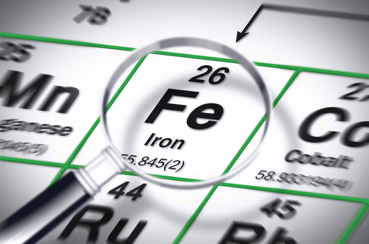 Iron Deficiency Anemia: How Our Microbiome Impacts Iron Absorption