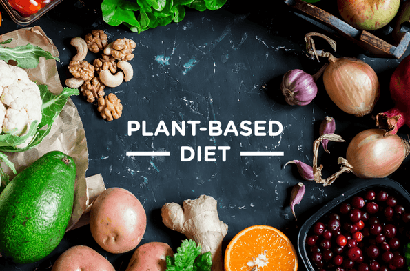 Why We Need Prebiotics From Plant-Based Foods to Nourish Probiotic Bacteria
