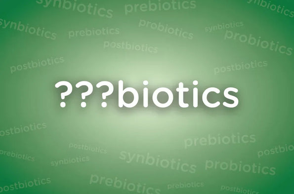 Probiotics text with question marks over faded synbiotics and prebiotics words on green