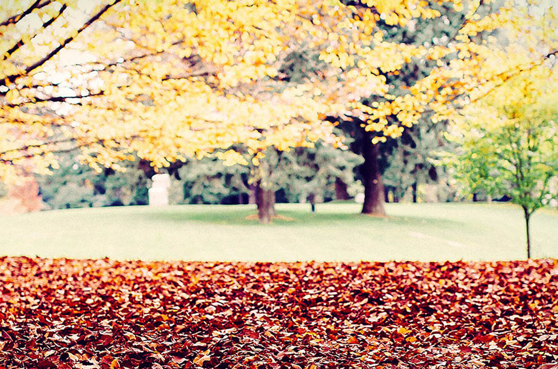5 ways to bring on the Fall season with joy & health