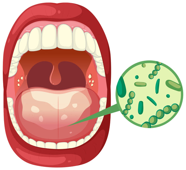 Illustration of bacteria in the oral microbiome affecting dental and oral health.