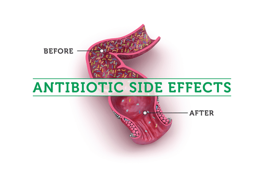 What happens when you don’t take probiotics with antibiotics?