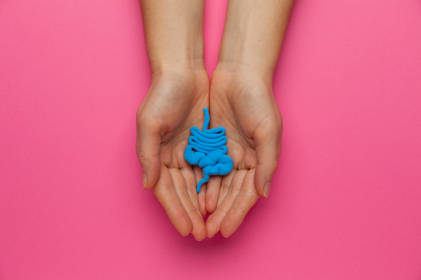 How Long Does it Take for Probiotics to Work?
