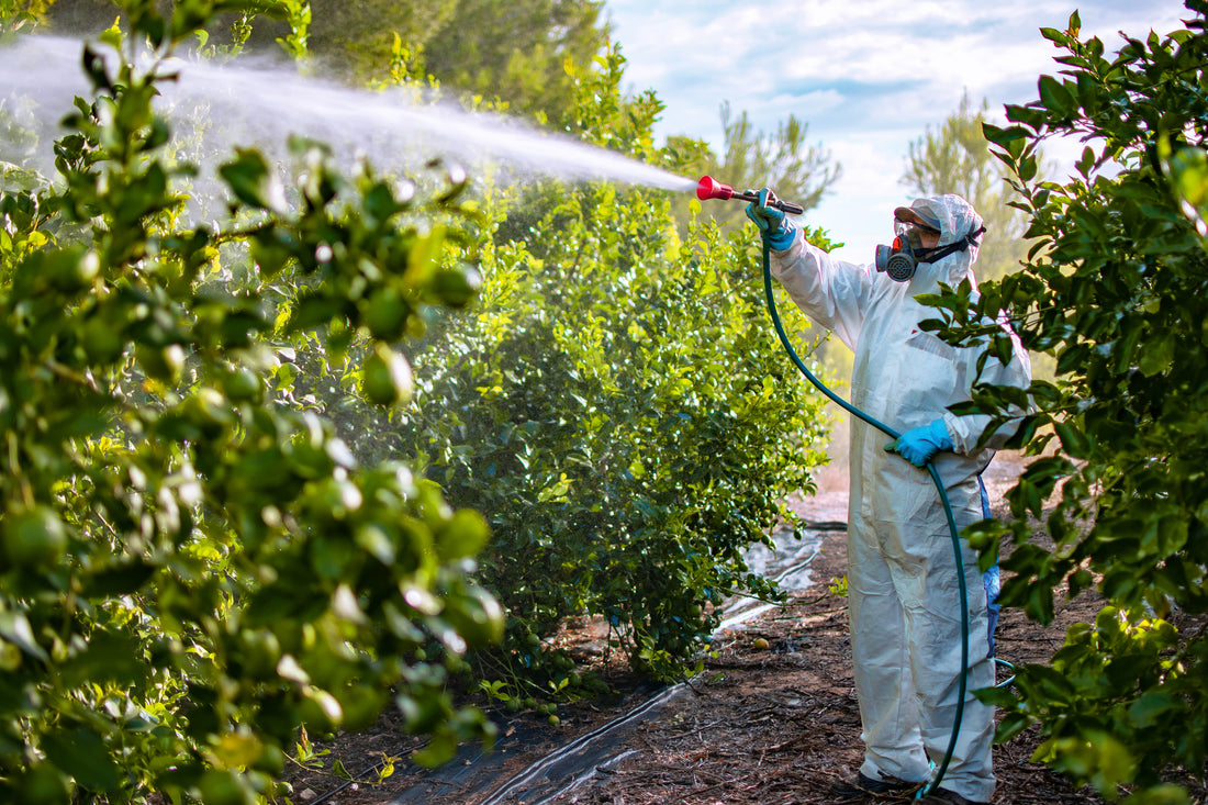 How Pesticides and GMOs Can Impact Our Intestinal Microbiota