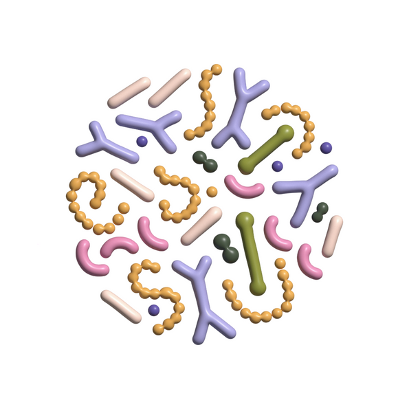 different molecules representing probiotics and other compounds