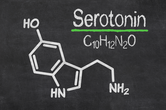 Serotonin: The Happy Hormone Produced In Our Gut