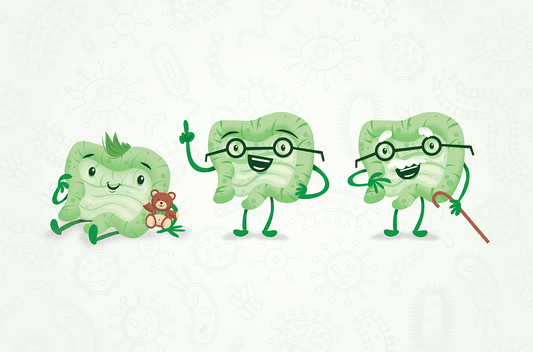 How The Microbiome Changes with Age