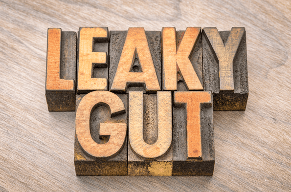 leaky gut diet