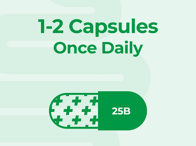 Probiotics and Medications for Seniors
